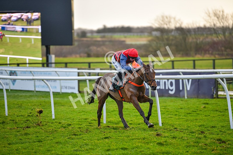 281223-Race 4-Lavida Adiva-2-8 - Race 4