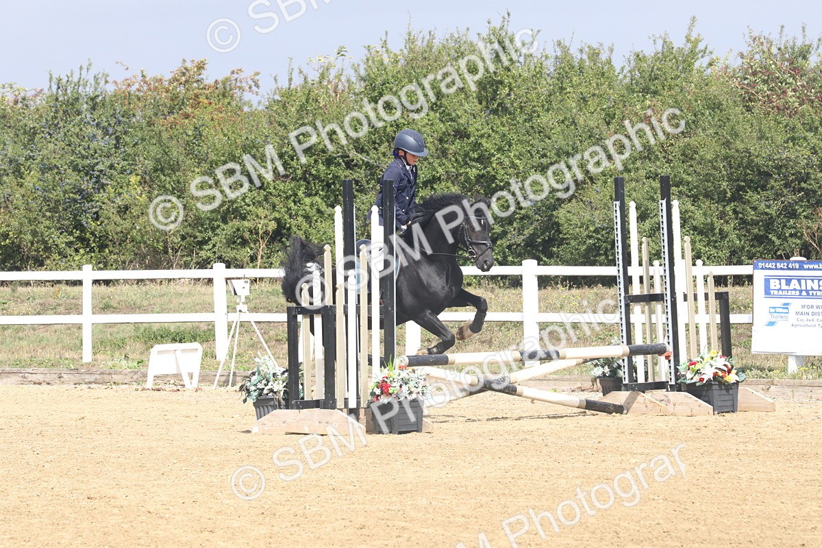 SBM_006022 - Class 6 - 60cm Champs