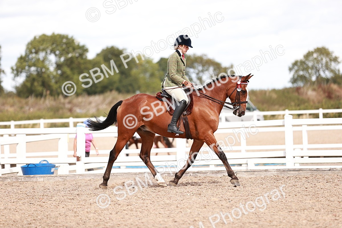 SBM_14472 - Class 410 - Grassroots Ridden - Horse
