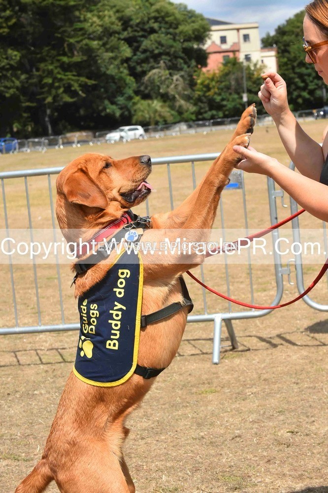 SH4_0215 - Dog show.