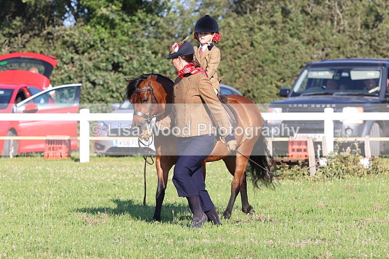 JPP_0741 - Class 16: Cornish Combination Leading Rein