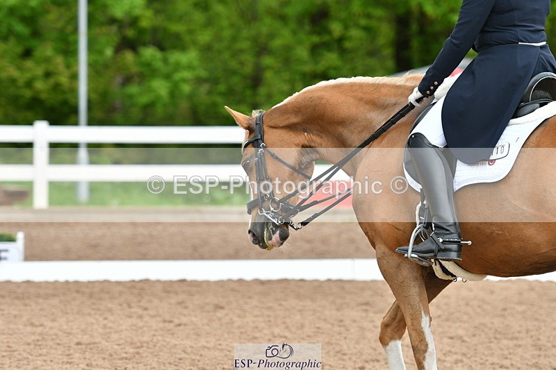 230511A-160339-01284 - BD Cls 18 FEI PSG