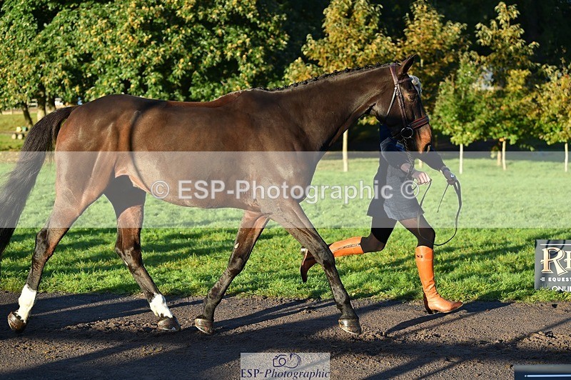 231022-085912-21488 - 603-KILBUNNY.BLUE.BIRD-Claire.Deuten-TrotUp+SJ