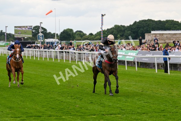 140624-Race 3-Alfa Kellenic-4314 - Race 3 3.00pm British EBF Supporting Racing With Pride Fillies' Handicap