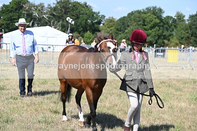 WJ6_4749 - Class 17 Mountain & Moorland