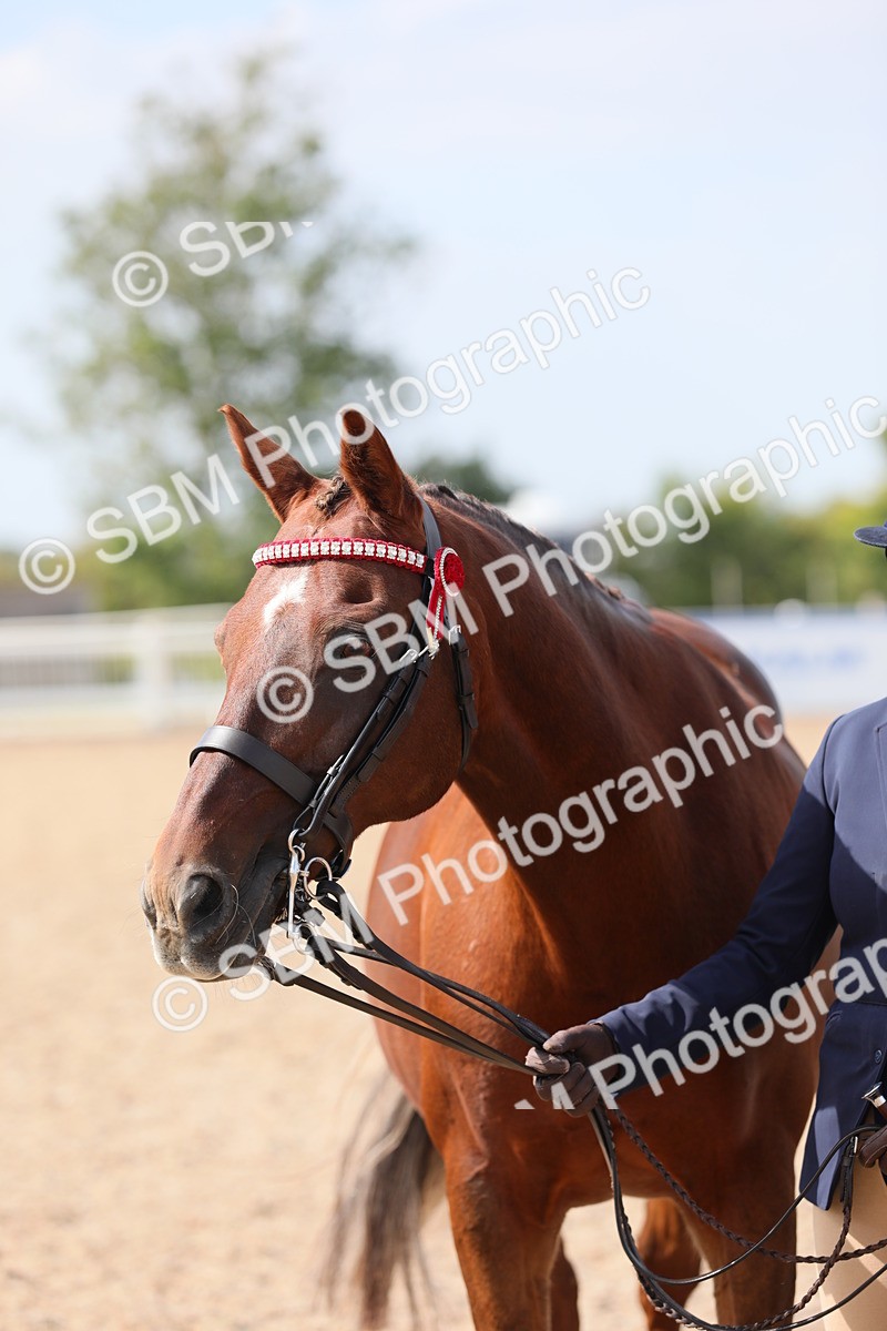 SBM_15737 - Class 312 IH Competition Horse/Pony