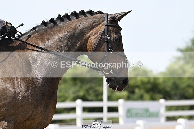 250621-145049-10733 - Cls 29 - Elementary 5, 14.10 to End