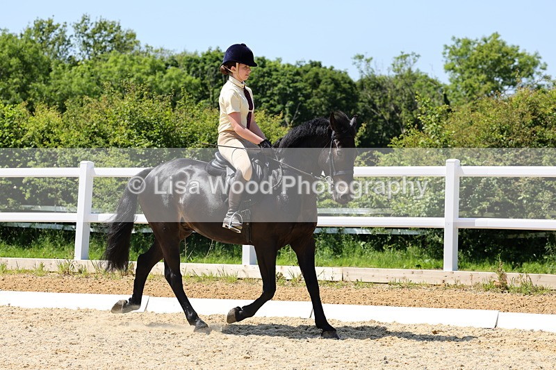 1X9A1691 - Class 11: Ridden Cob