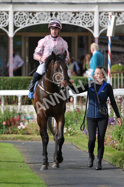 yr24092021r4-37 - Race 4 3.15pm William Hill Play Responsibly British EBF Restricted Novice Stakes