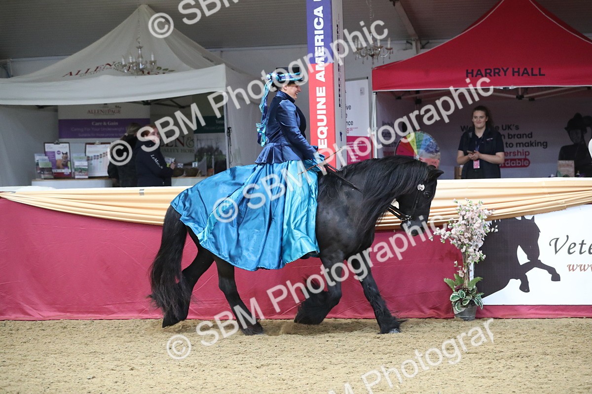 SBM_12227 - Class 107 Ridden Costume- Astride Adult (20+)