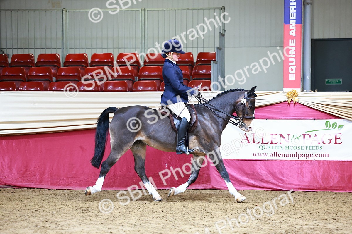 SBM_23203 - Class 904 - Supreme Final - Ridden Diamond