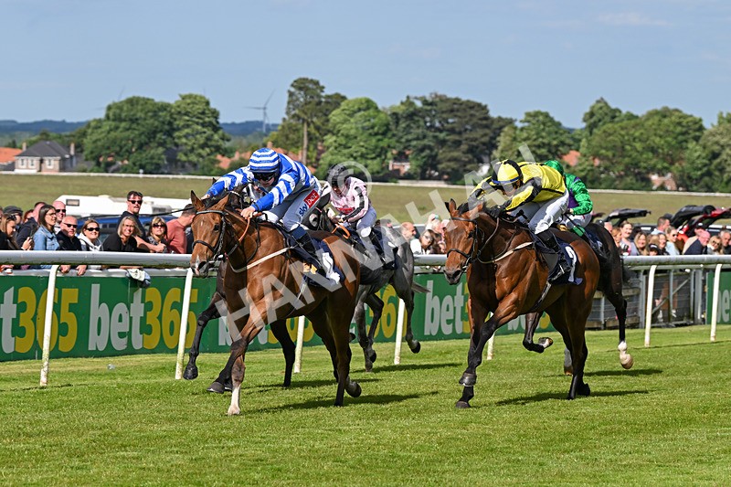 080624-Race 7-This Years Love-2038 - Race 7