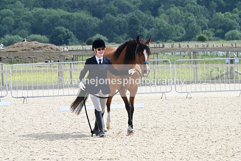 WJ7_8199 - Time 16:10 to 16:25