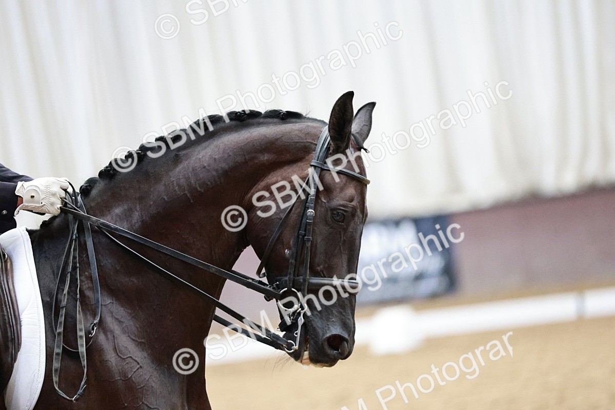 SBM_006533 - Class 11 - Elementary 6 Gold - 14.12-15.00