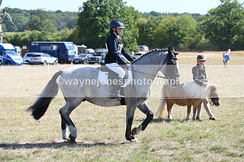 WJ6_8297 - Class 37a Best Loan Pony Ridden