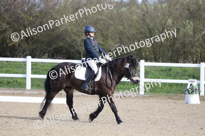 20260314-0215 - DR1 - Intro 1