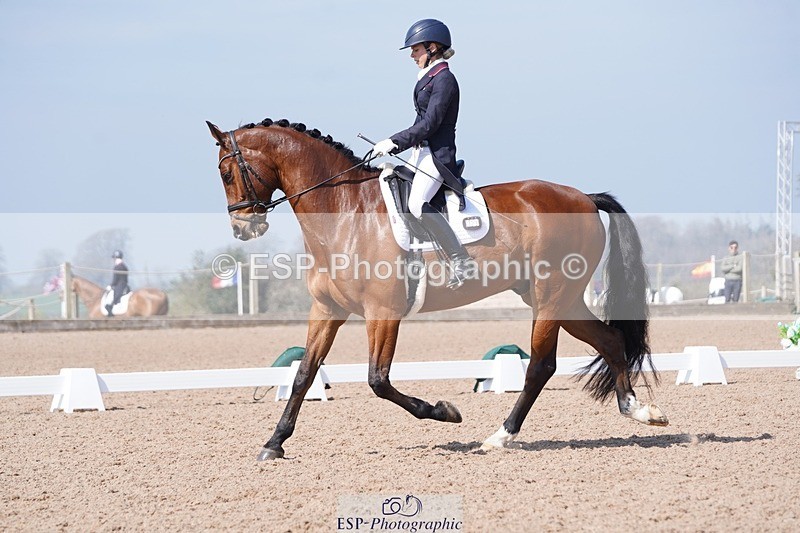 250404-122548-05654 - 028-Elizabeth.Allen-Heraldik