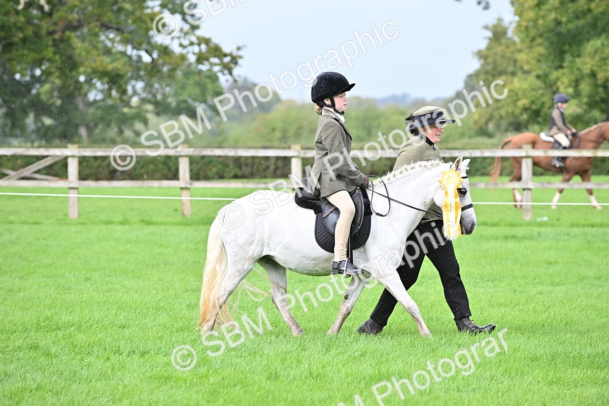 SBM_38375 - S19 - Lead Rein Show & Show Hunter Pony