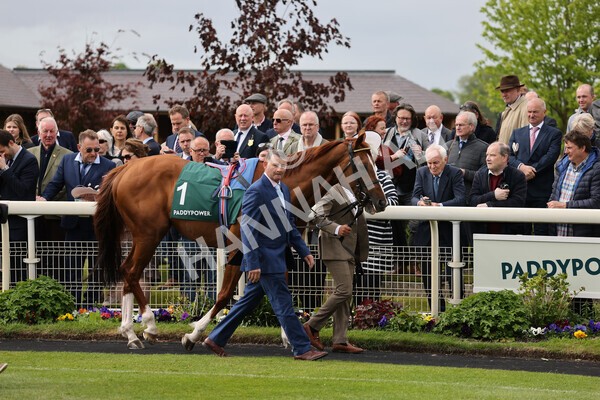 yr13052022r4-12 - Race 4 3.35pm The Paddy Power Yorkshire Cup (British Champions Series Race)