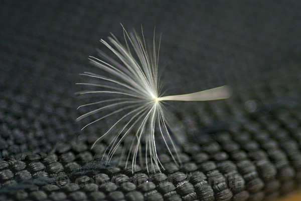 Parachute On The Side - MACRO & CLOSE UPS