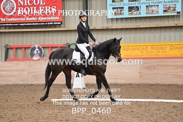 BPP_0460 - 3 - K YUILLE