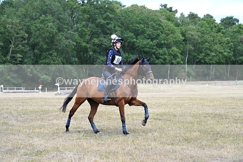 WJ7_1509 - 60cm Time 13:20 to 14:27