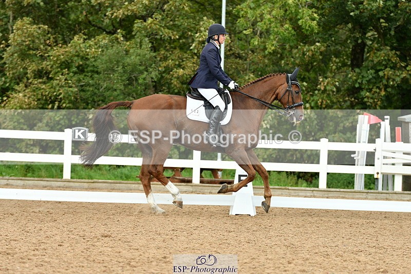 230912A-150617-01478 - Cls 11 Medium 73