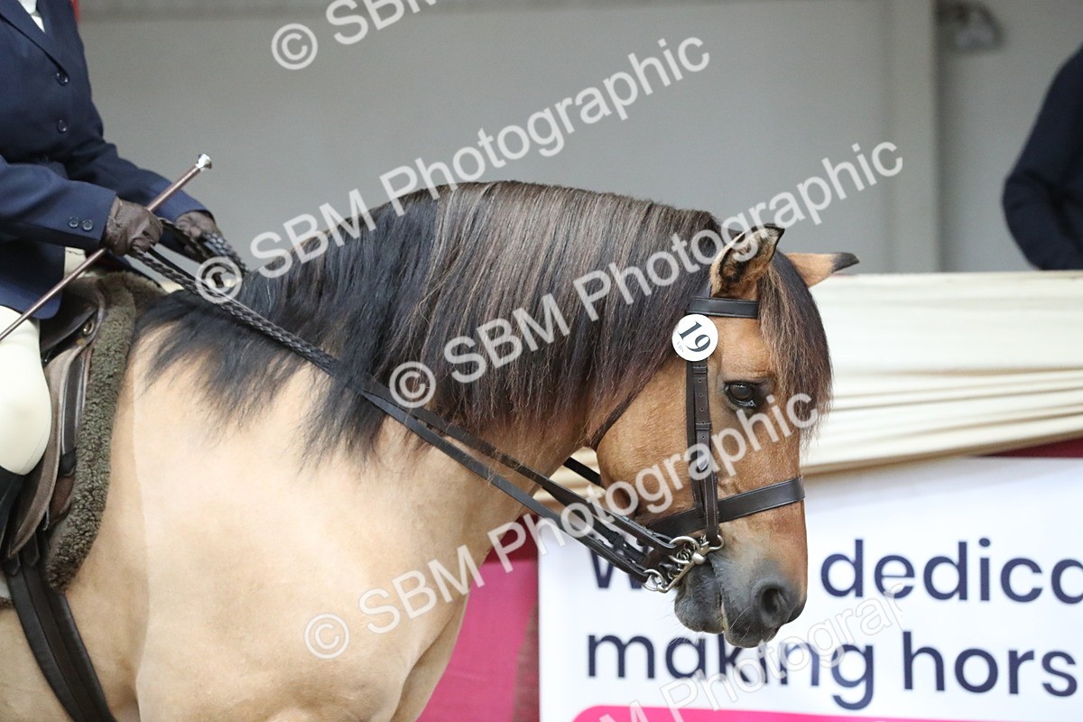 SBM_16252 - Class 502 M&M Ridden Supreme Final