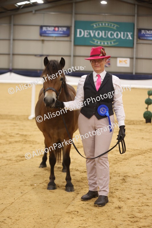 20260913-1072 - Class 109 - Bred On Exmoor In Hand