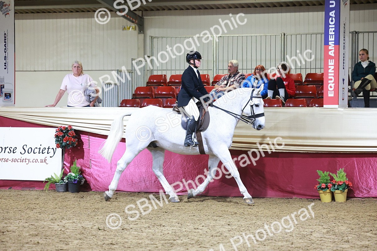 SBM_21143 - class Q - Ridden Horse Champ