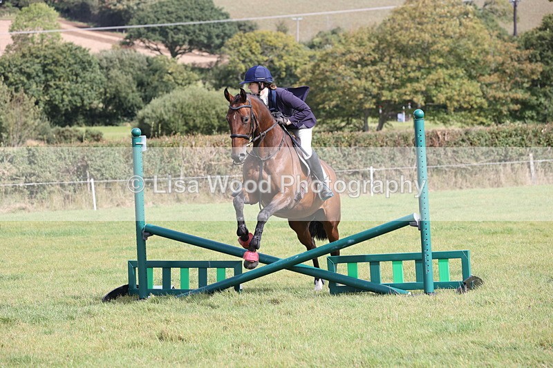 JPP_8547 - Class 2: Trekenning: 80cm Showjumping