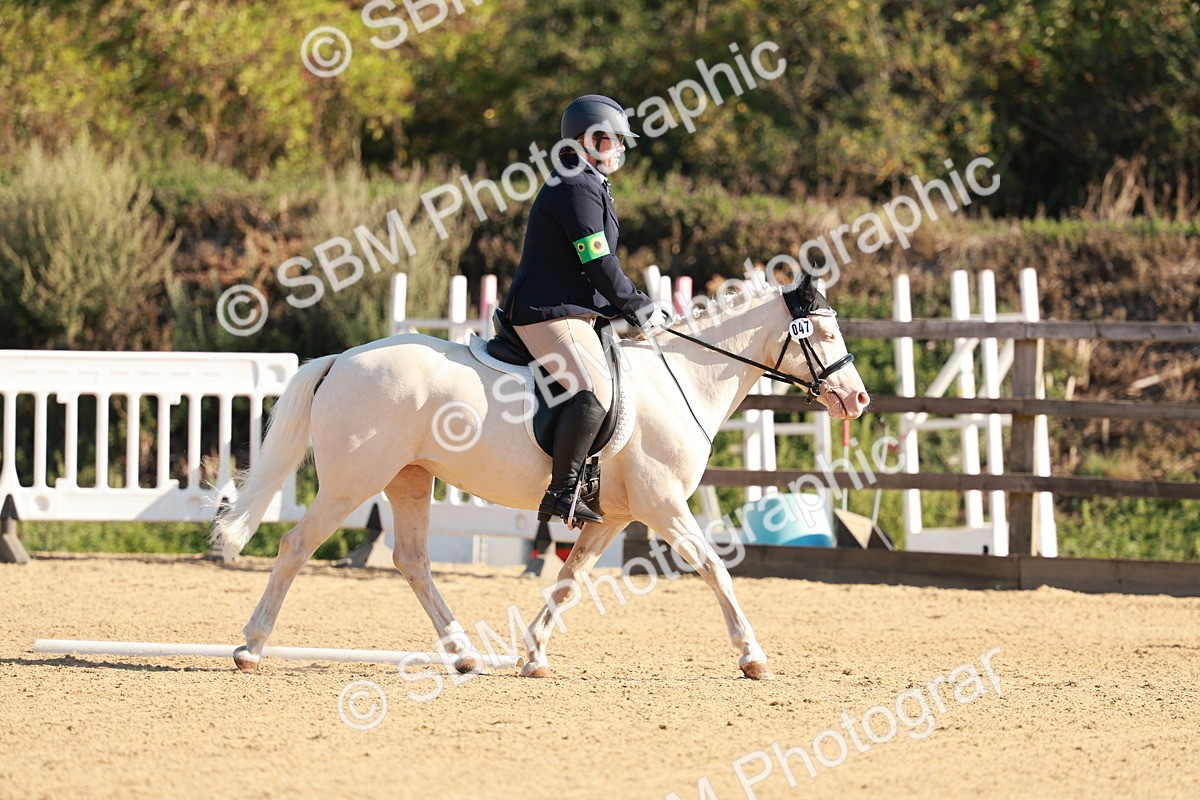 SBM_009103 - Class 1 - Intro 2