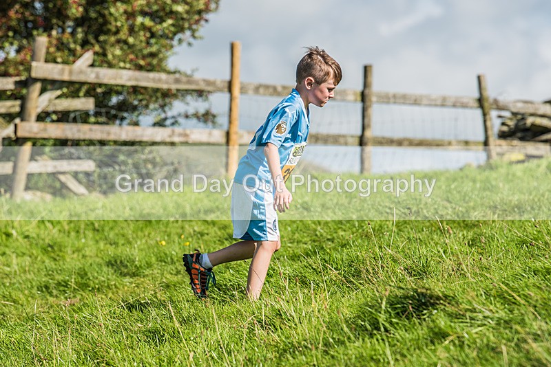 Loweswater Show-84 - Loweswater Show Junior & Senior Fell Races Sunday 3rd September 2023