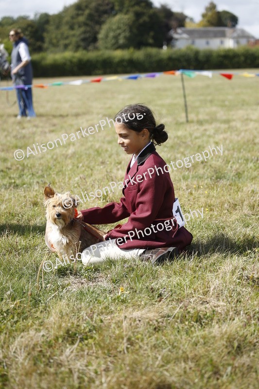 20250831-3703 - Dog Show