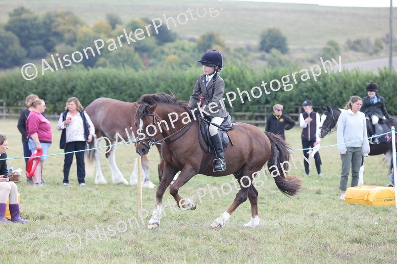 20250831-4418 - Championship