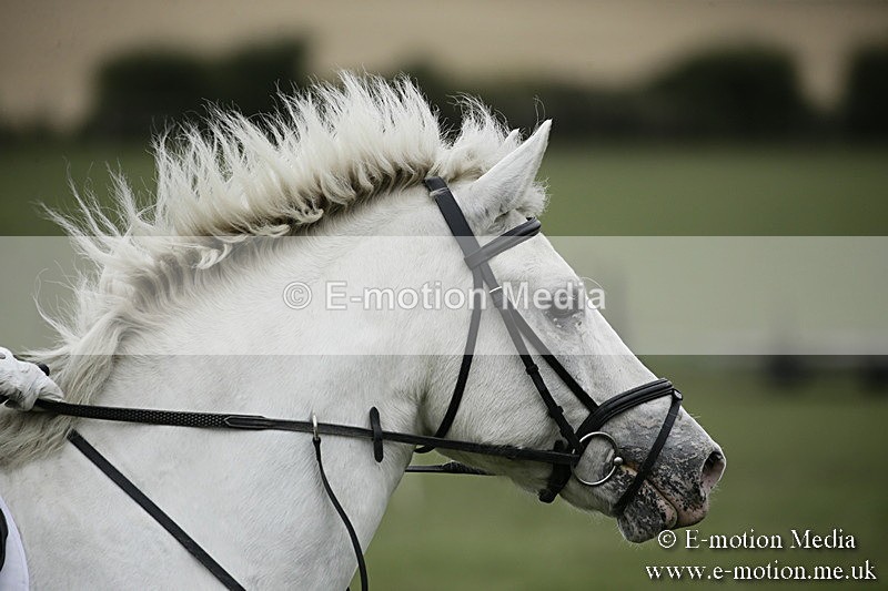 BVR080918 393 - BVRC Novice Dressage & CR 08/09/18