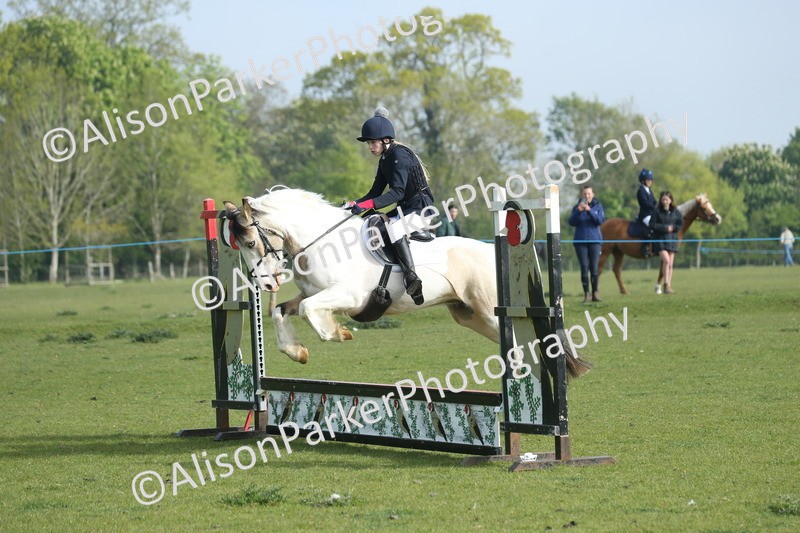20260426-0054 - Class 13 - Rookie Jumping 50cm