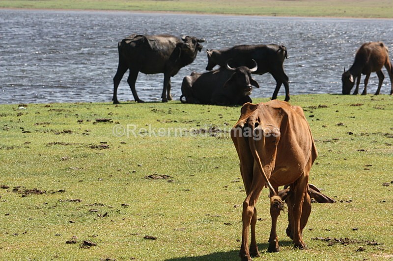  - Travel and culture