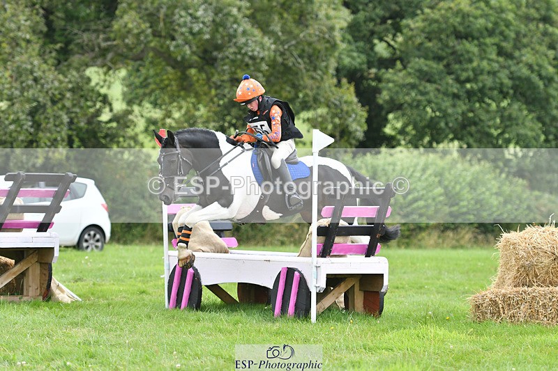 240804-144242-15108 - 555-Jack_Wish-WESTERLAKE_BUTTONWEED