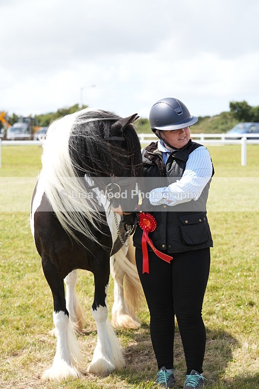DSC06955 - Class 60: Coloured Pony 4yrs & over