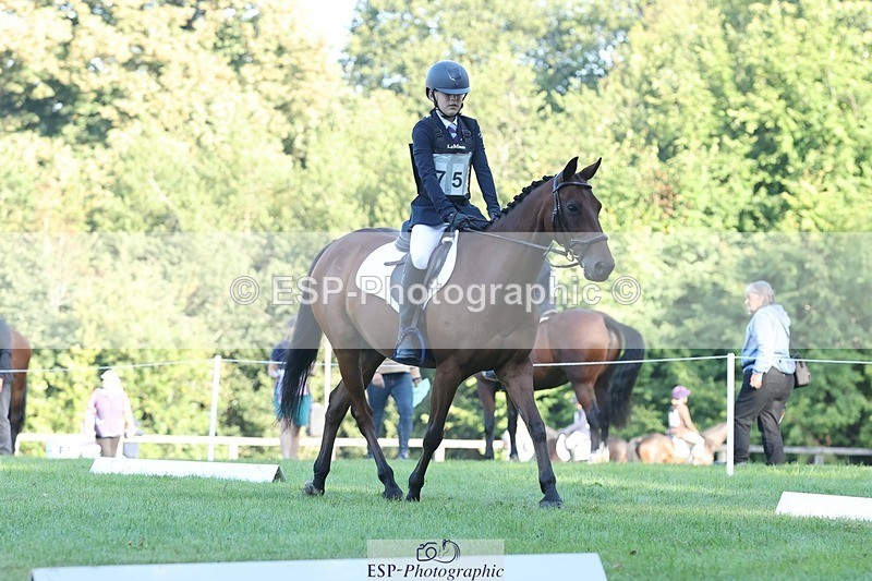 250823A-084411-25761 - Arena D