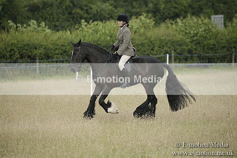 B230619-0172 - Bourne Valley Riding Club Summer Show 23/06/19