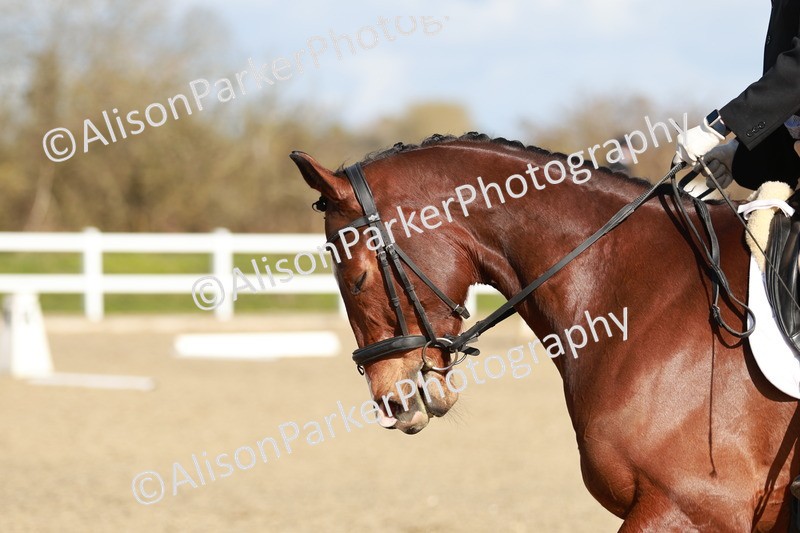 20260314-4389 - DR4 - Prelim 2