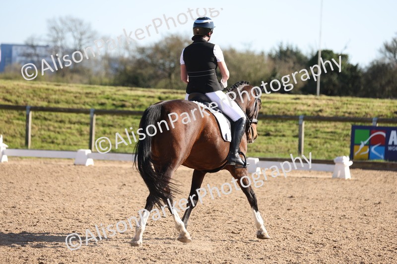 20260318-0852 - Class 8 - Elementary 2