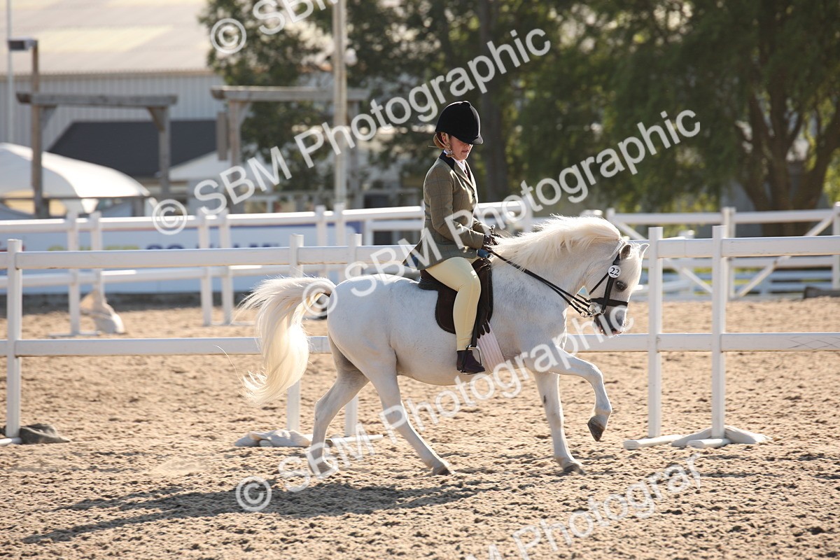 SBM_00632 - Class 14 Ridden M&M Wildcard