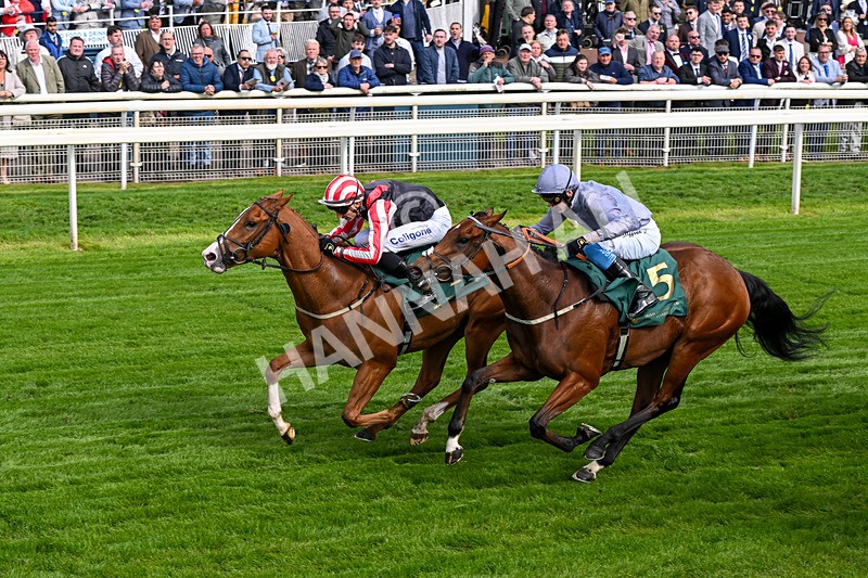 150526-Race 6-Fortification-0354 - Race 6 4.40pm Irish Thoroughbred Marketing Handicap