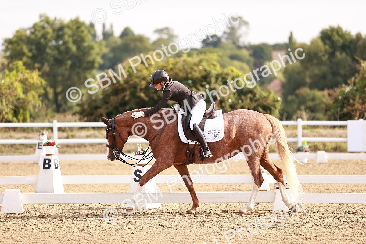 SBM_016871 - Class 10 - Medium 6