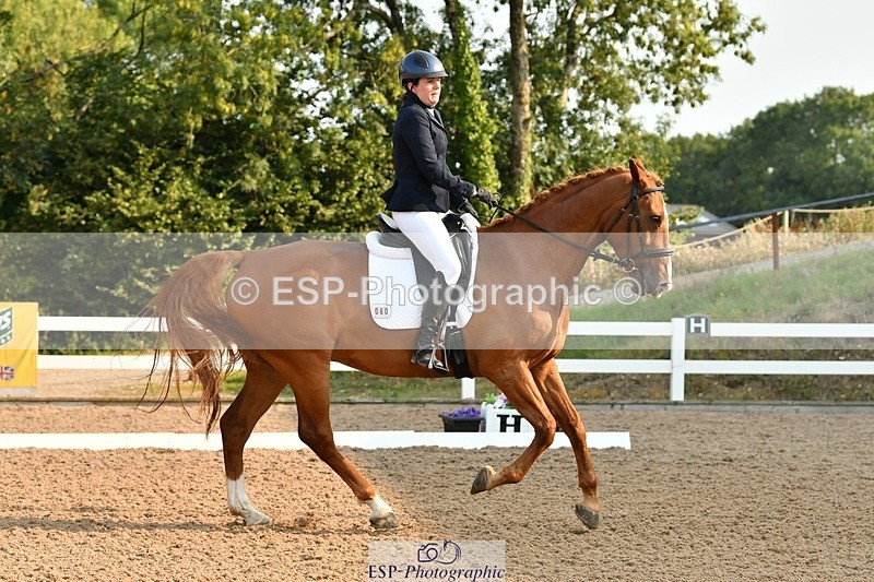 250817-090009-06718 - 080-Elizabeth.StoneZiggy