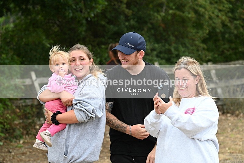 WJ7_9974 - Class 5a Most Handsome Gelding (above 14.2hh)
