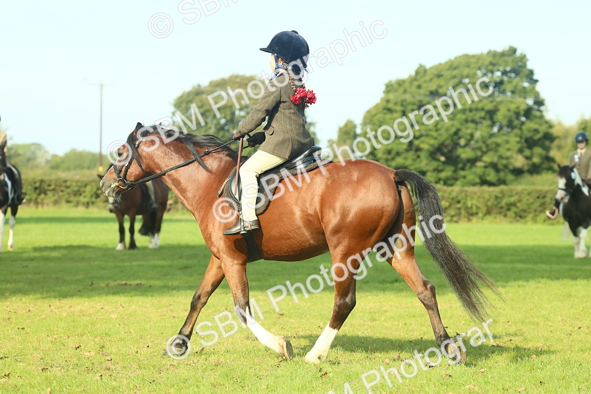 SBM_59935 - S38 - Starters Ridden Showing